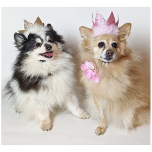 Huxley & Kent Gold Party Crown Small