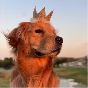 Huxley & Kent Party Crown Gold Large