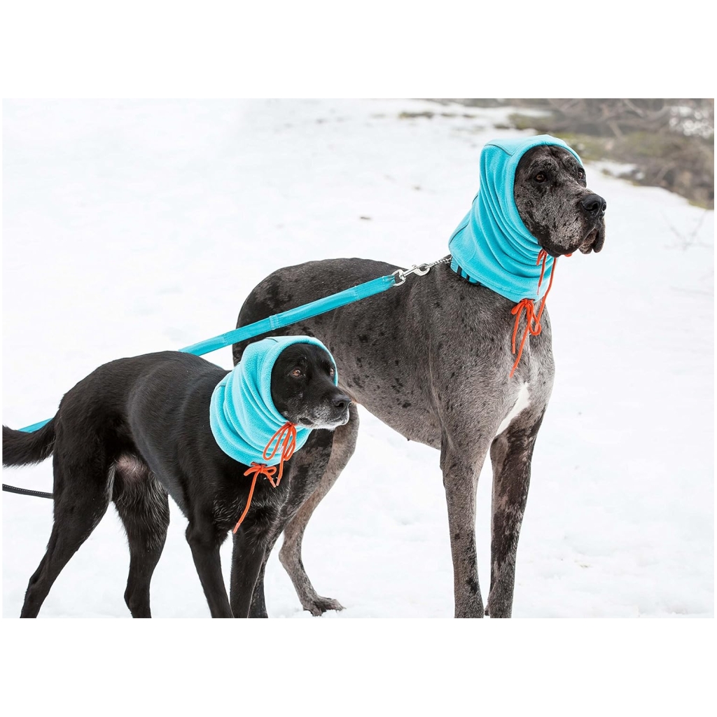 Snood L Teal