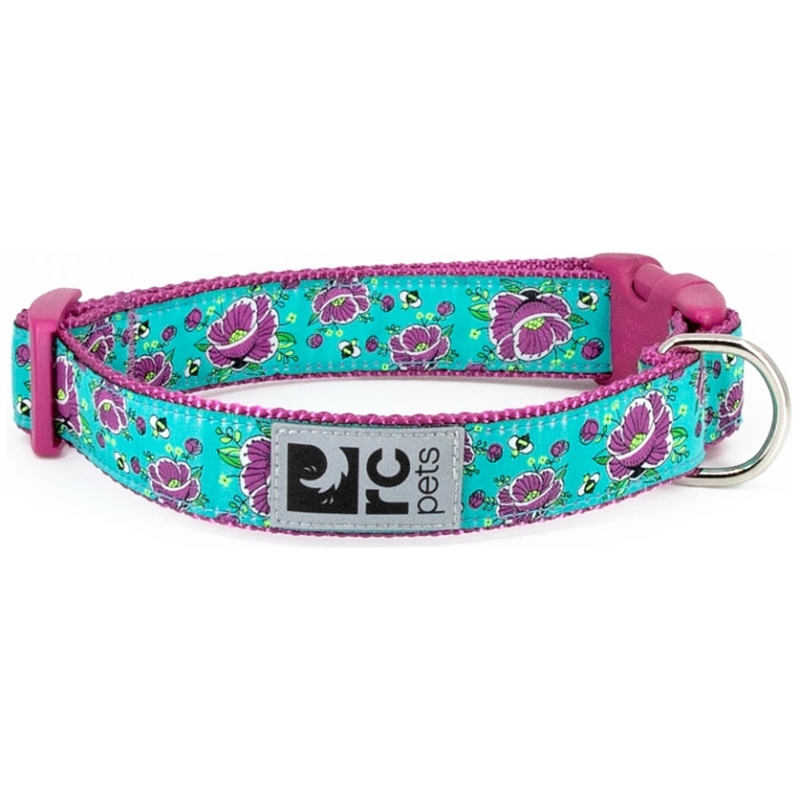 RC Pets 3/4 Inch Adjustable Dog Clip Collar, Small, All The Buzz